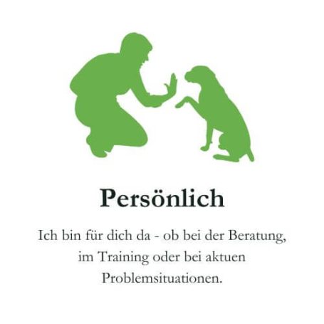 Persönliche Beratung