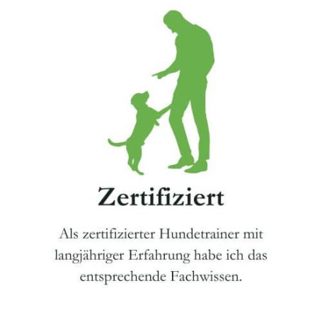 Zertifizierter Hundetrainer